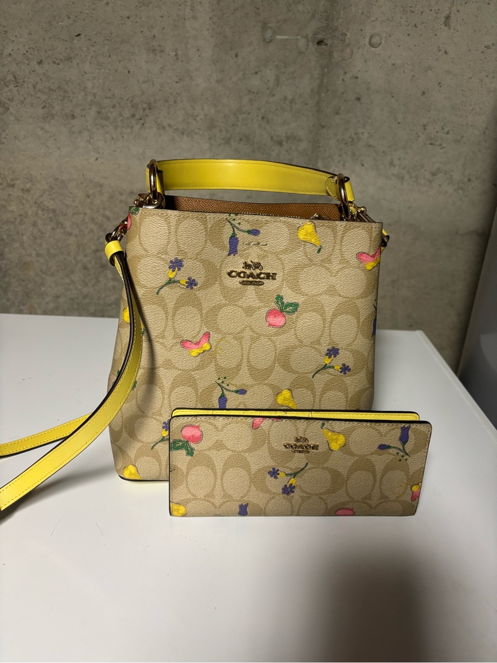 Coach mini town bucket bag & wallet in Dreamy Veggie print